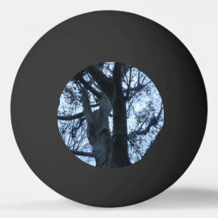Boom Silhouette Foto Ping Pong Ball