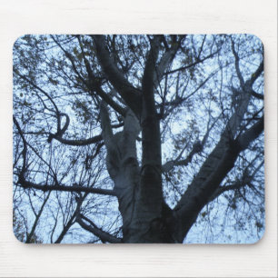 Boom Silhouette-fotograaf Mousepad Muismat