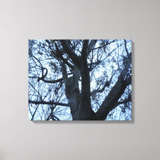 Boom Silhouette Photogarph Canvas Afdrukken (Voorkant)