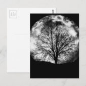 Boom Silhouette voor een volledige maan Briefkaart (Voorkant / Achterkant)