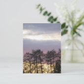 Boom Silhouettes in Dusk Briefkaart (Staand voorkant)