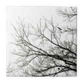 Boom Silhouettes - tegels Tegeltje (Voorkant)