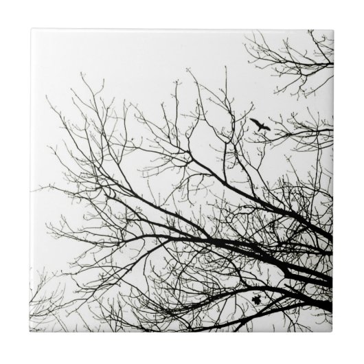 Boom Silhouettes - tegels Tegeltje (Voorkant)