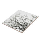 Boom Silhouettes - tegels Tegeltje (Zijkant)