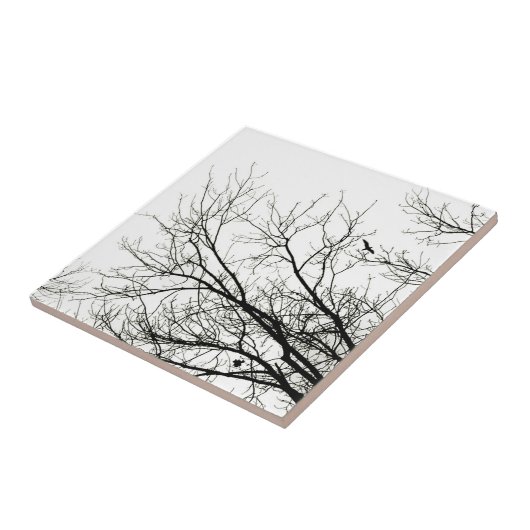 Boom Silhouettes - tegels Tegeltje (Zijkant)