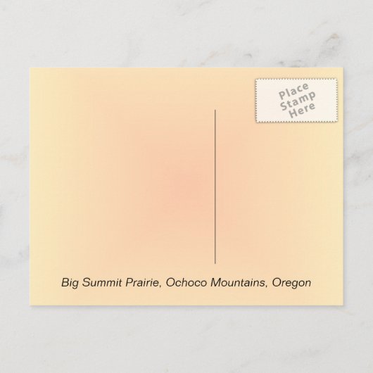 Boom Silhoutte Sunset Briefkaarten (Achterkant)