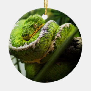 Boom Snake Ornament
