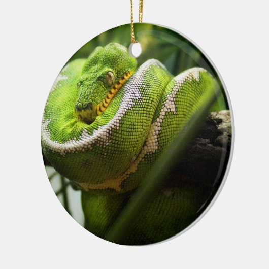 Boom Snake Ornament (Links)