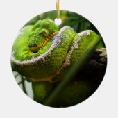 Boom Snake Ornament (Achterkant)