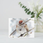 Boom Sparrow in Winter Briefkaart (Staand voorkant)