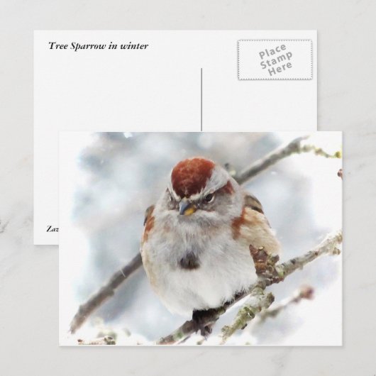 Boom Sparrow in Winter Briefkaart (Voorkant / Achterkant)