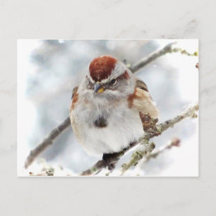 Boom Sparrow in Winter Briefkaart
