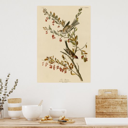 Boom Sparrow Poster (Keuken)