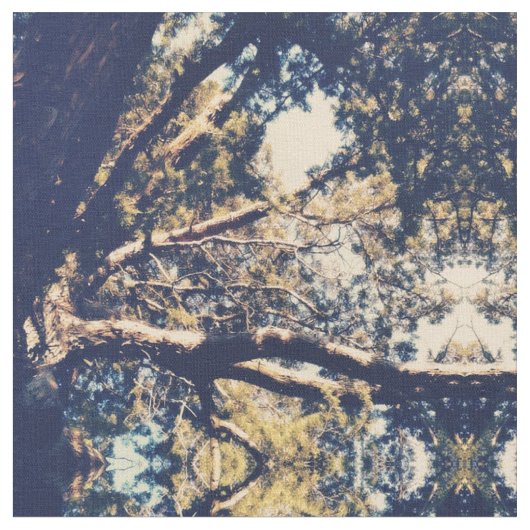 Boom Stof (Close Up)