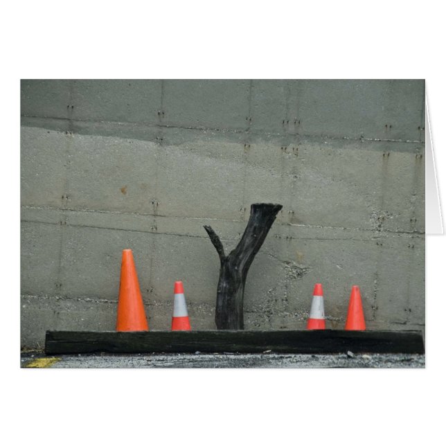 Boom Stump (Voorkant Horizontaal)