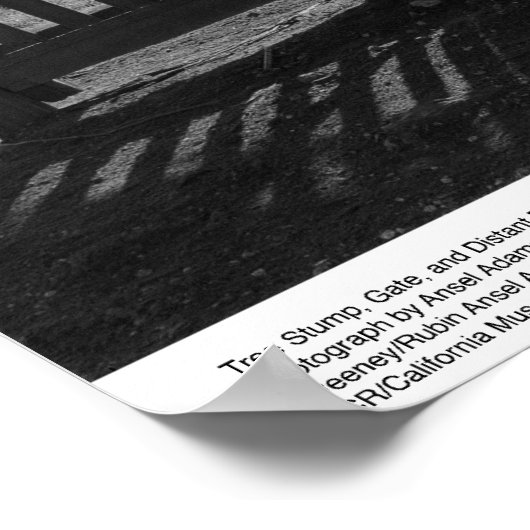 Boom Stump, Gate en Distant Barn, maart 1962 Poster (Hoek)