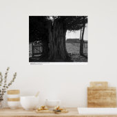 Boom Stump, Gate en Distant Barn, maart 1962 Poster (Keuken)