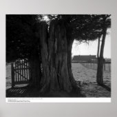 Boom Stump, Gate en Distant Barn, maart 1962 Poster (Voorkant)