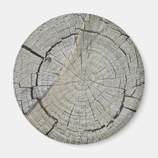 Boom Stump Magneet