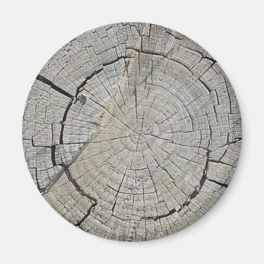 Boom Stump Magneet (Voorkant)