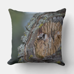 Boom Stump Photography Kussen