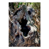 Boom Stump Skull (Voorkant)