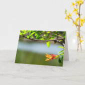 Boom tak en Oranje ventilator, blanco binnenzijde Kaart (Gele Bloem)