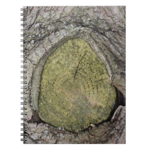 Boom tak Stub Sluiten Notitieboek