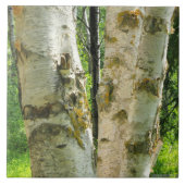 Boom Tegeltje (Voorkant)