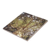 Boom Tegeltje (Zijkant)