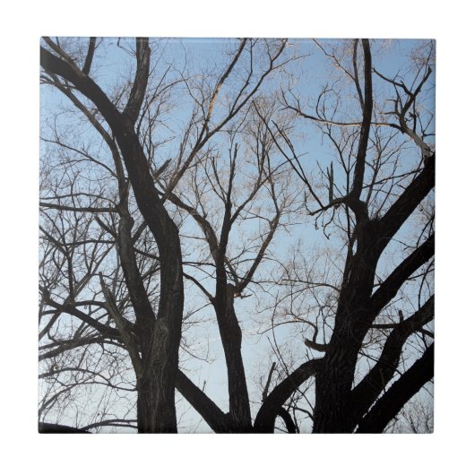 Boom Tegeltje (Voorkant)
