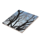 Boom Tegeltje (Zijkant)