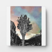 Boom tekening tegen foto fotoplaat (Voorkant)