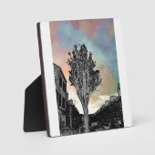 Boom tekening tegen foto fotoplaat (Voorkant)