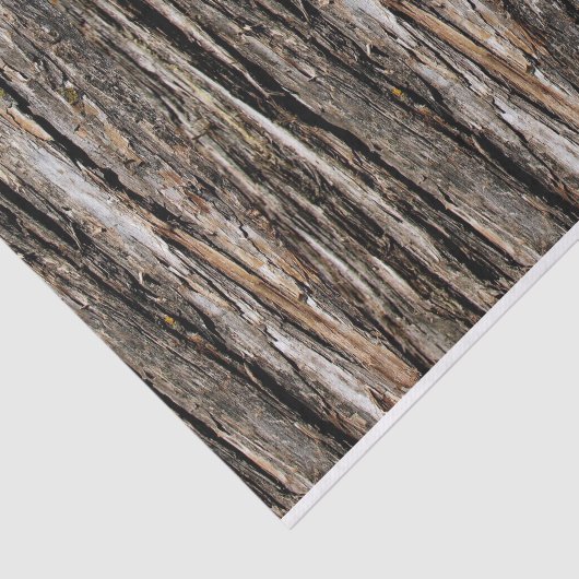 Boom Tissuepapier (Detail)