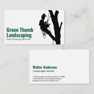 Boom trimmen op de boom   landschapsarchitectuur visitekaartje