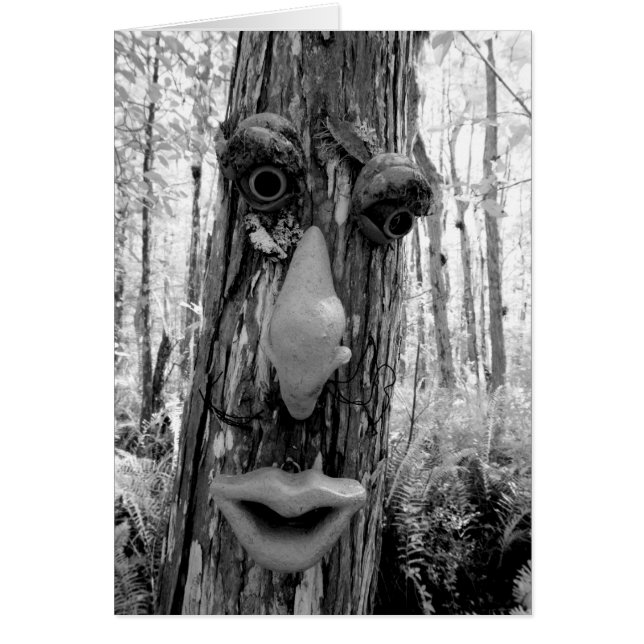 Boom trol op een Big Cypress boom. (Voorkant)