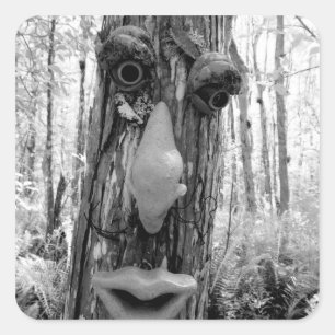 Boom trol op een Big Cypress boom. Vierkante Sticker