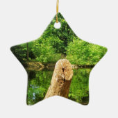 Boom Trunk Natuur Keramisch Ornament (Voorkant)