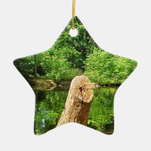 Boom Trunk Natuur Keramisch Ornament (Voorkant)