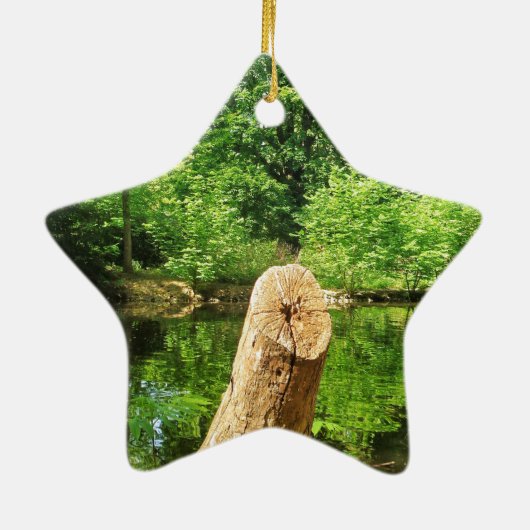 Boom Trunk Natuur Keramisch Ornament (Achterkant)