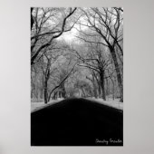 Boom Tunell Poster (Voorkant)