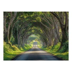 Boom Tunnel Kauai Fotografie Wanddecoratie