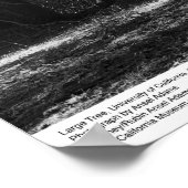 Boom UC Santa Cruz, maart 1962 Poster (Hoek)