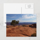 Boom uit de Rode Rakken in het Nationaal Park Cany Briefkaart (Voorkant / Achterkant)