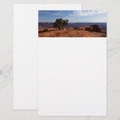 Boom uit de Rode Rakken in het Nationaal Park Cany Briefpapier (Voorkant / Achterkant)