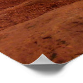 Boom uit de Rode Rakken in het Nationaal Park Cany Poster (Hoek)