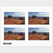 Boom uit de Rode Rakken in het Nationaal Park Cany Rechthoekige Sticker (Vel)