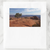 Boom uit de Rode Rakken in het Nationaal Park Cany Rechthoekige Sticker (Tas)