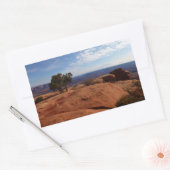 Boom uit de Rode Rakken in het Nationaal Park Cany Rechthoekige Sticker (Envelop)